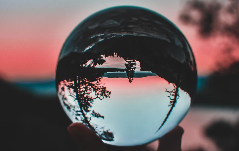 A globe reflecting a tree upside down to symbolize how the unconference is the opposite or anti-thesis of a conference