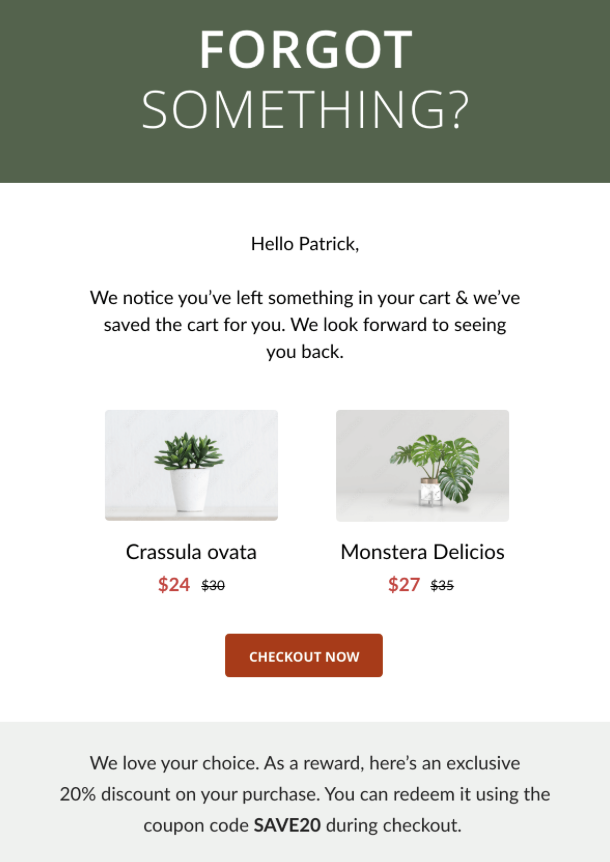 Abandoned cart recovery discount email example