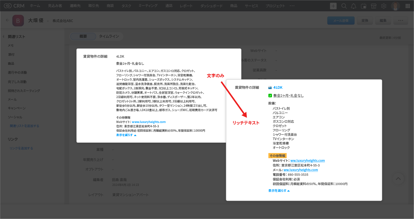 項目へのデータ入力でリッチテキストが使用可能に