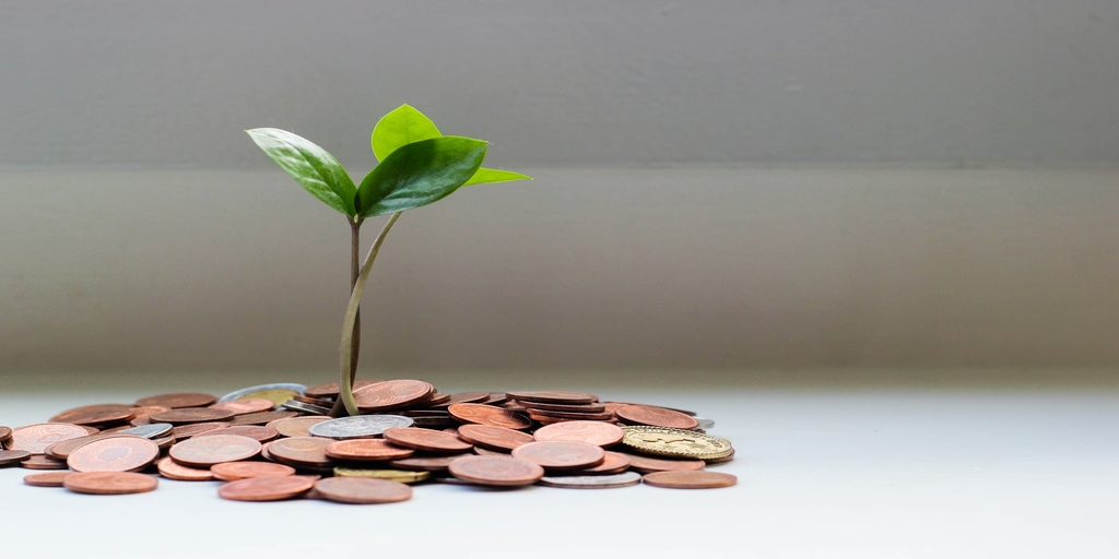 A plant growing from a heap of coins