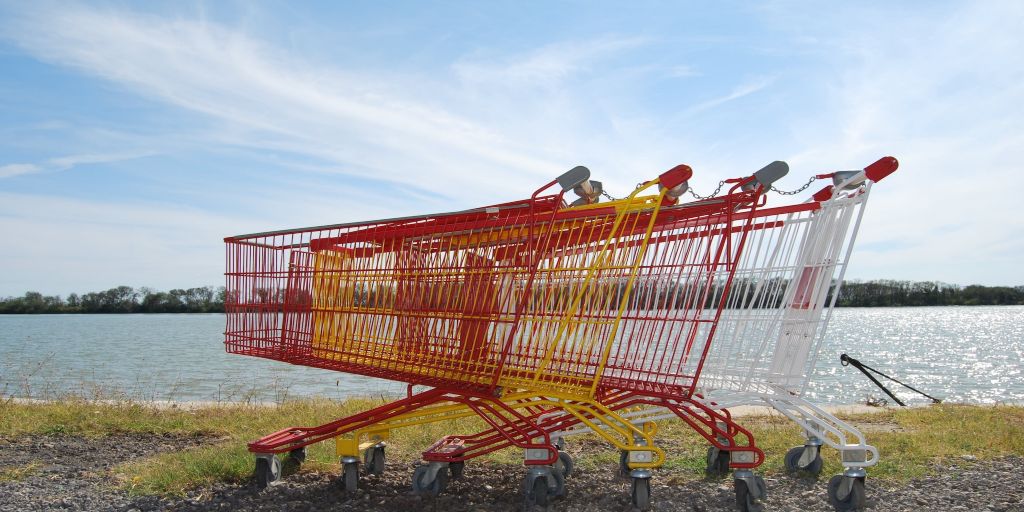 Shopping carts abandoned near a lake