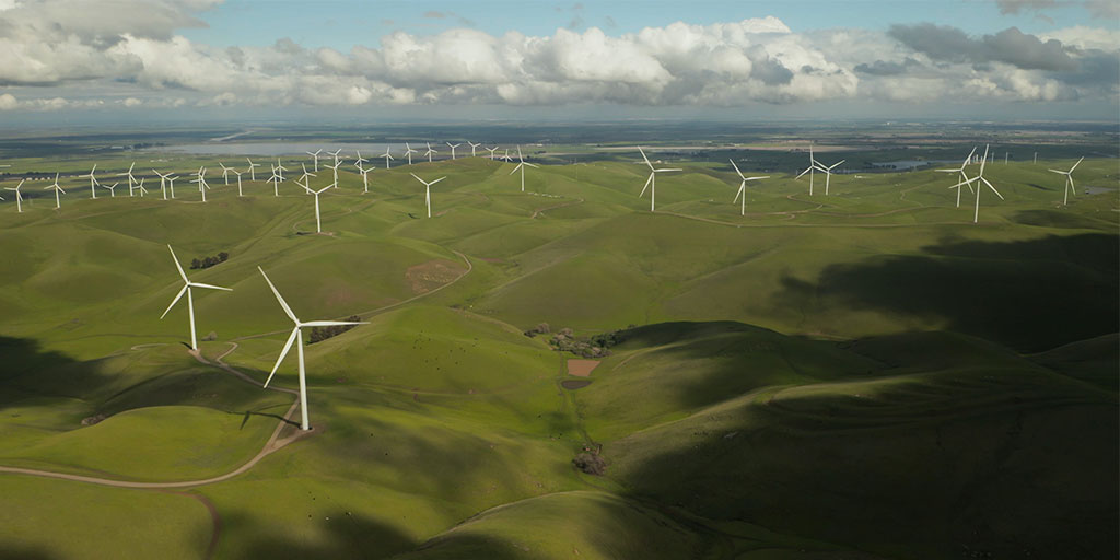 "windmill farm"