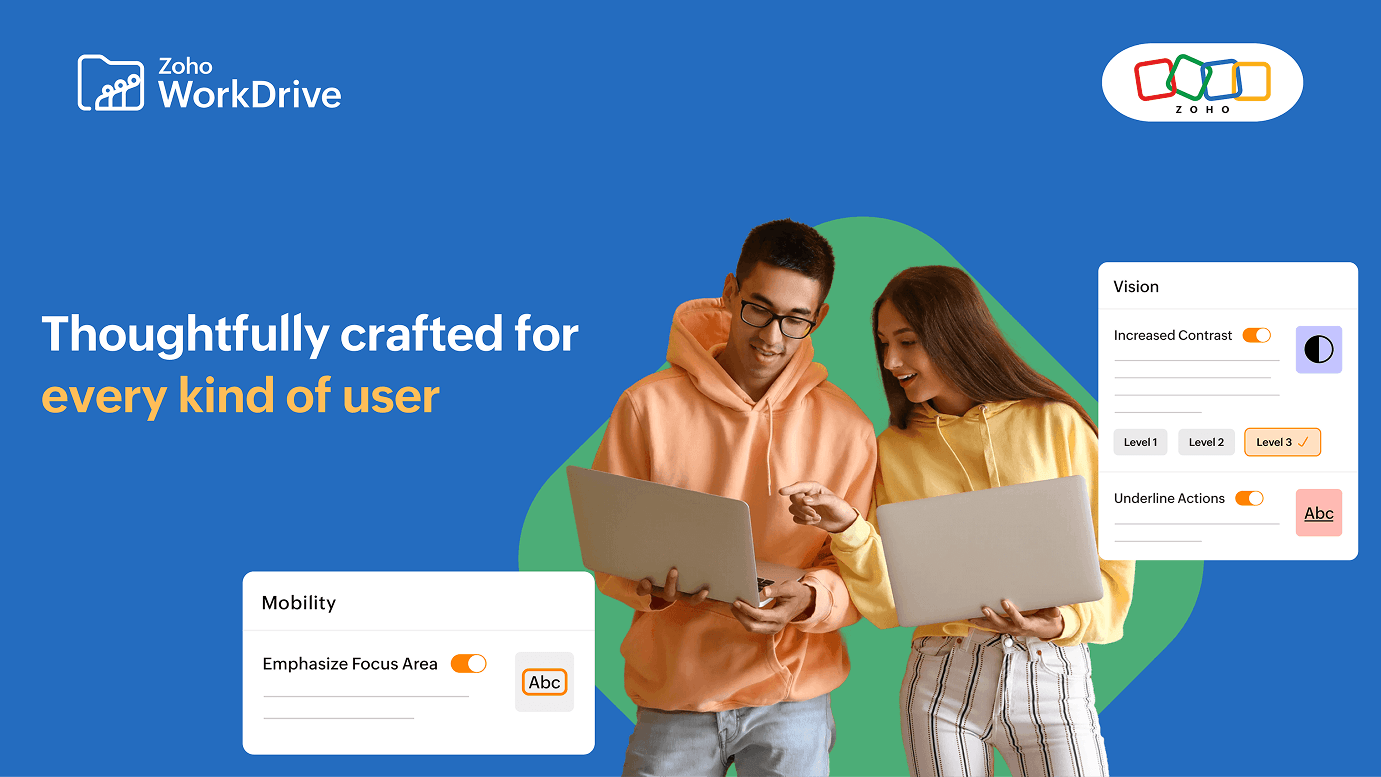 Accessibility controls